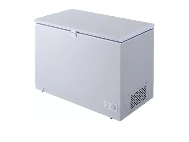 یخچال صندوقی الجی GCS315